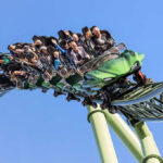 People on a rollercoaster during a loop.
