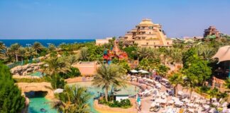 A vibrant water park with pools, palm trees, and visitors enjoying the sun