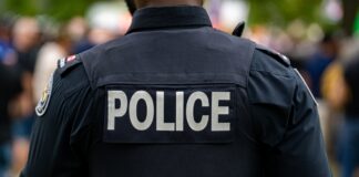 Back view of a police officer in uniform at a public event