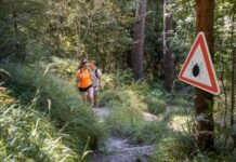 How Two Teen Girls Escaped an Alleged Knife Attack in the Woods Two hikers on a forest trail near a warning sign about ticks
