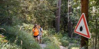 Two hikers on a forest trail near a warning sign about ticks