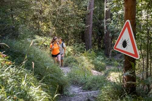 Man,And,Woman,Hiking,In,Infected,Ticks,Forest,With,Warning Two hikers on a forest trail near a warning sign about ticks