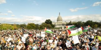 Large crowd of protesters holding Palestinian flags in front of the Capitol building