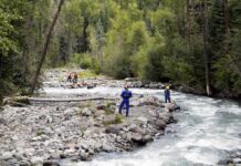 Five Drown Trying to Save One Swimmer Rescue workers in helmets standing along a fast-flowing forest river