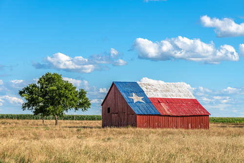 Barn roof painted as Texas flag, tree nearby.