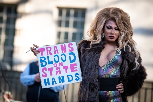 Person holding sign reading "Trans Blood on State Hands."